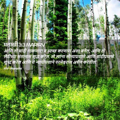Picture 02 - मलाखी 3:3 MARIRV - आणि तो चांदी - Bible Verse Picture