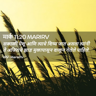 Picture 02 - मार्क 11:20 MARIRV - सकाळी येशू आणि - Bible Verse Picture