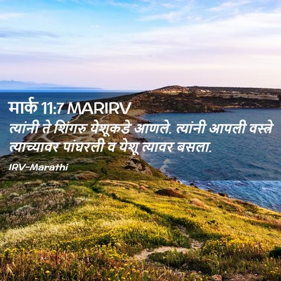 Picture 02 - मार्क 11:7 MARIRV - त्यांनी ते शिंगरु - Bible Verse Picture