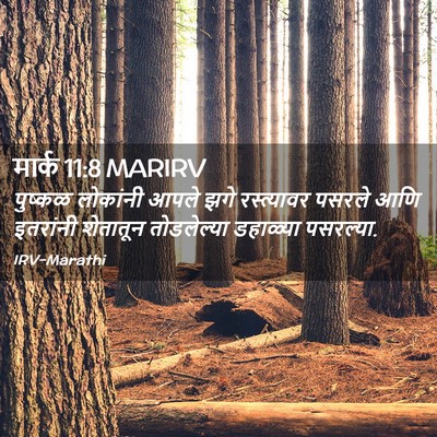 Picture 02 - मार्क 11:8 MARIRV - पुष्कळ लोकांनी - Bible Verse Picture