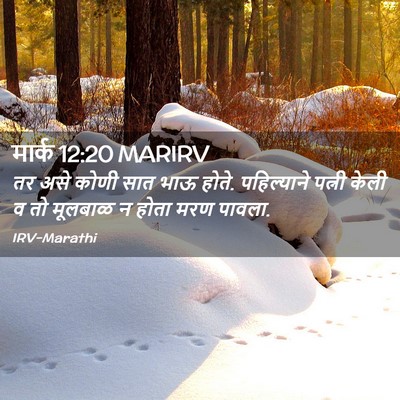 Picture 02 - मार्क 12:20 MARIRV - तर असे कोणी सात भाऊ - Bible Verse Picture