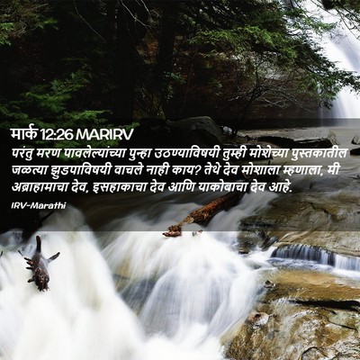 Picture 02 - मार्क 12:26 MARIRV - परंतु मरण - Bible Verse Picture