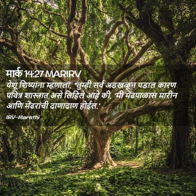Picture 02 - मार्क 14:27 MARIRV - येशू शिष्यांना - Bible Verse Picture