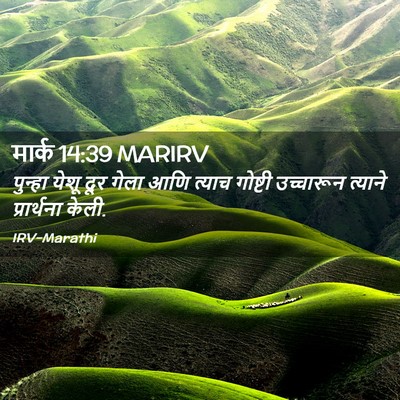 Picture 02 - मार्क 14:39 MARIRV - पुन्हा येशू दूर - Bible Verse Picture