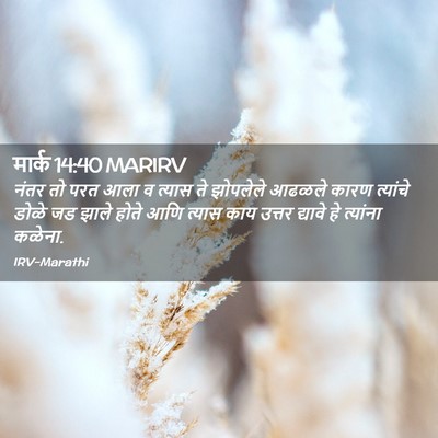 Picture 02 - मार्क 14:40 MARIRV - नंतर तो परत आला व - Bible Verse Picture