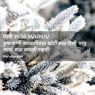 Picture 02 - मार्क 14:56 MARIRV - पुष्कळांनी - Bible Verse Picture