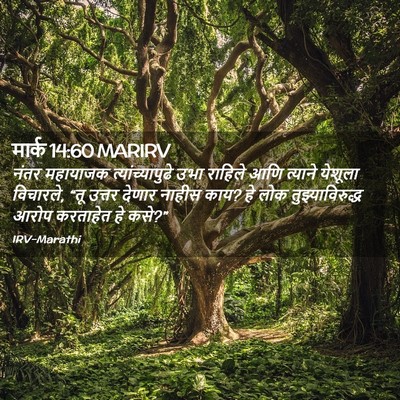Picture 02 - मार्क 14:60 MARIRV - नंतर महायाजक - Bible Verse Picture