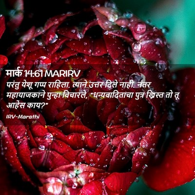 Picture 02 - मार्क 14:61 MARIRV - परंतु येशू गप्प - Bible Verse Picture
