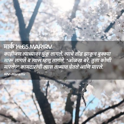 Picture 02 - मार्क 14:65 MARIRV - काहीजण त्याच्यावर - Bible Verse Picture