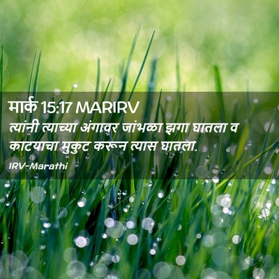 Picture 02 - मार्क 15:17 MARIRV - त्यांनी त्याच्या - Bible Verse Picture