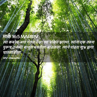 Picture 02 - मार्क 16:5 MARIRV - त्या कबरेत आत - Bible Verse Picture