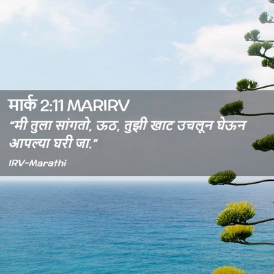 Picture 02 - मार्क 2:11 MARIRV - “मी तुला सांगतो, - Bible Verse Picture