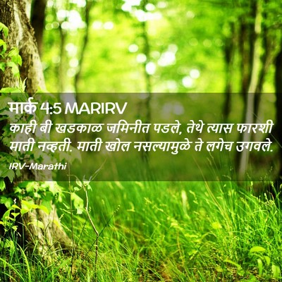 Picture 02 - मार्क 4:5 MARIRV - काही बी खडकाळ - Bible Verse Picture