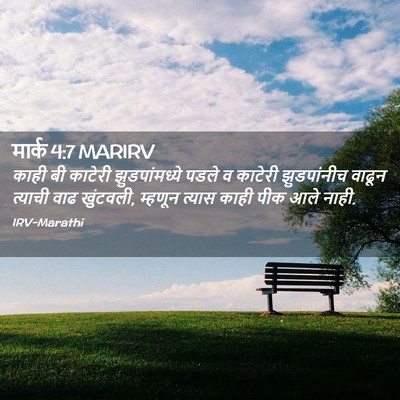 Picture 02 - मार्क 4:7 MARIRV - काही बी काटेरी - Bible Verse Picture