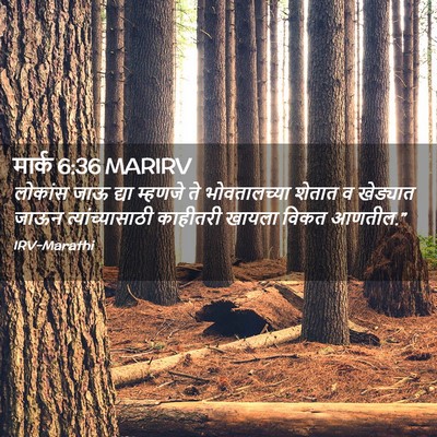 Picture 02 - मार्क 6:36 MARIRV - लोकांस जाऊ द्या - Bible Verse Picture