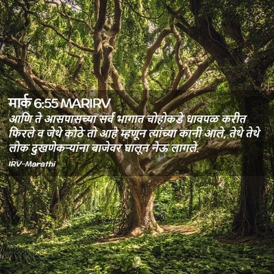 Picture 02 - मार्क 6:55 MARIRV - आणि ते आसपासच्या - Bible Verse Picture