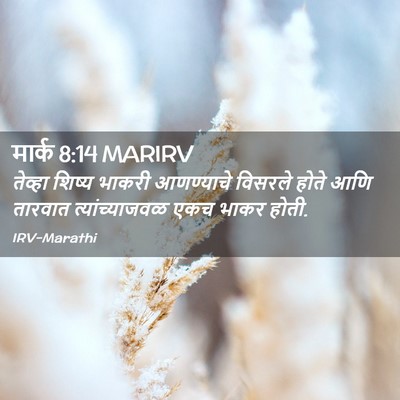 Picture 02 - मार्क 8:14 MARIRV - तेव्हा शिष्य - Bible Verse Picture
