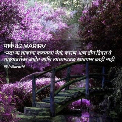 Picture 02 - मार्क 8:2 MARIRV - “मला या लोकांचा - Bible Verse Picture
