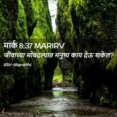 Picture 02 - मार्क 8:37 MARIRV - जीवाच्या - Bible Verse Picture