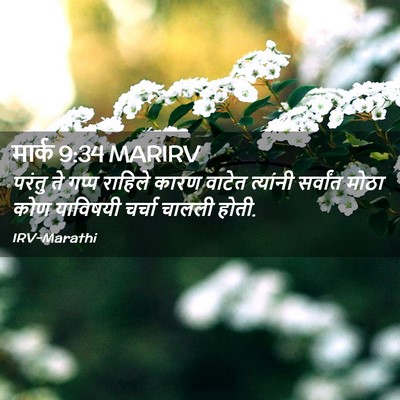 Picture 02 - मार्क 9:34 MARIRV - परंतु ते गप्प - Bible Verse Picture