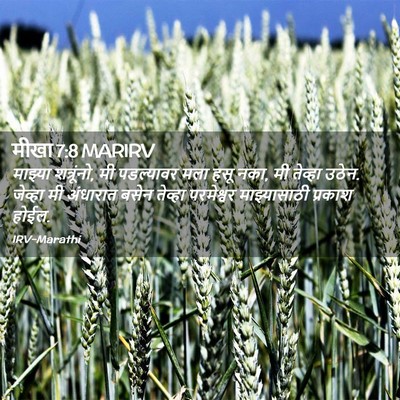 Picture 02 - मीखा 7:8 MARIRV - माझ्या शत्रूंनो, - Bible Verse Picture