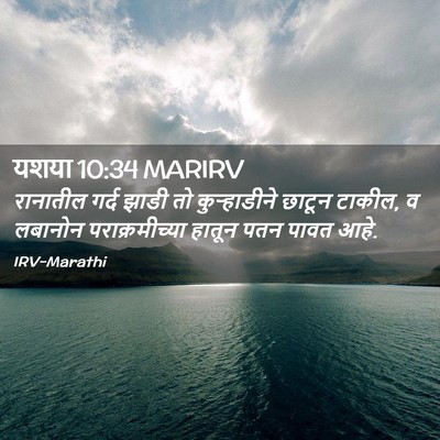 Picture 02 - यशया 10:34 MARIRV - रानातील गर्द झाडी - Bible Verse Picture