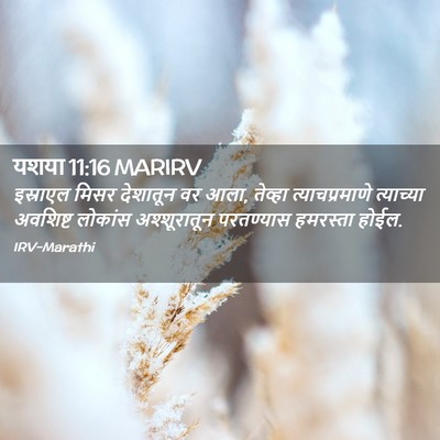 Picture 02 - यशया 11:16 MARIRV - इस्राएल मिसर - Bible Verse Picture