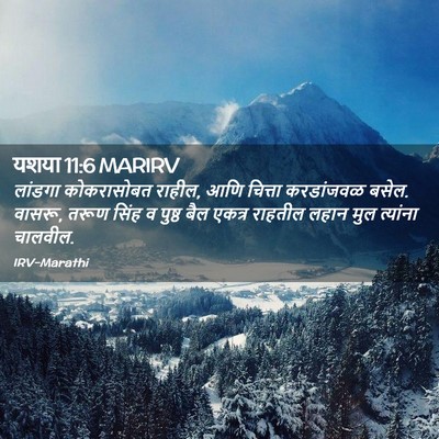 Picture 02 - यशया 11:6 MARIRV - लांडगा कोकरासोबत - Bible Verse Picture
