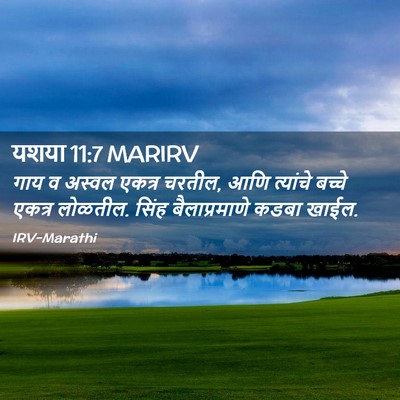 Picture 02 - यशया 11:7 MARIRV - गाय व अस्वल एकत्र - Bible Verse Picture