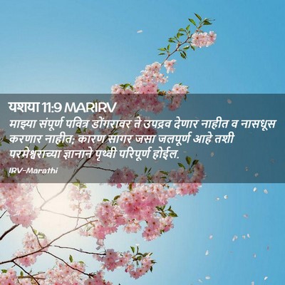 Picture 02 - यशया 11:9 MARIRV - माझ्या संपूर्ण - Bible Verse Picture