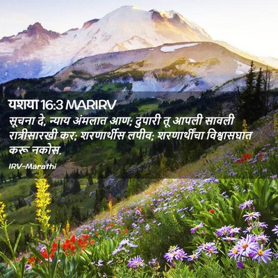 Picture 02 - यशया 16:3 MARIRV - सूचना दे, न्याय - Bible Verse Picture
