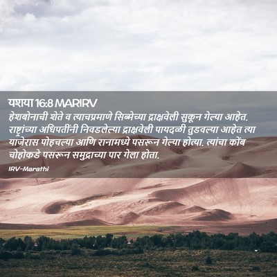 Picture 02 - यशया 16:8 MARIRV - हेशबोनाची शेते व - Bible Verse Picture