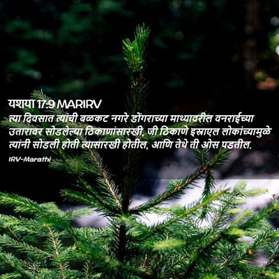 Picture 02 - यशया 17:9 MARIRV - त्या दिवसात - Bible Verse Picture