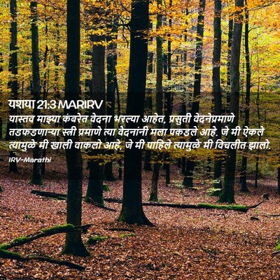 Picture 02 - यशया 21:3 MARIRV - यास्तव माझ्या - Bible Verse Picture