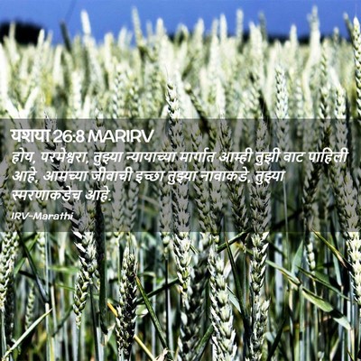 Picture 02 - यशया 26:8 MARIRV - होय, परमेश्वरा, - Bible Verse Picture