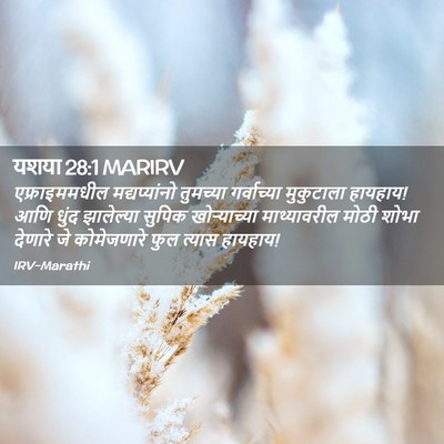 Picture 02 - यशया 28:1 MARIRV - एफ्राइममधील - Bible Verse Picture