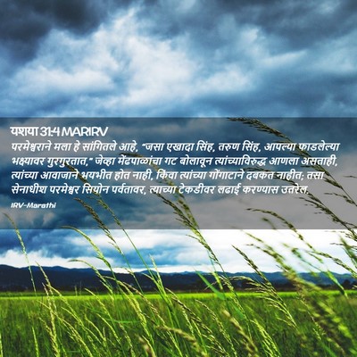 Picture 02 - यशया 31:4 MARIRV - परमेश्वराने मला - Bible Verse Picture