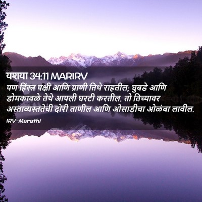 Picture 02 - यशया 34:11 MARIRV - पण हिंस्त्र पक्षी - Bible Verse Picture