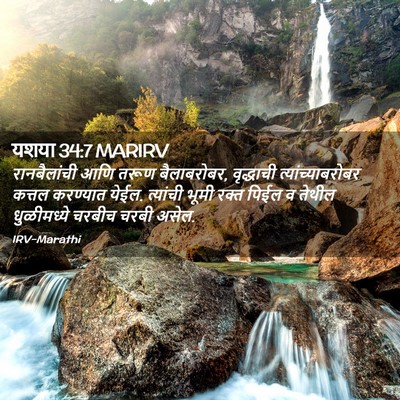 Picture 02 - यशया 34:7 MARIRV - रानबैलांची आणि - Bible Verse Picture