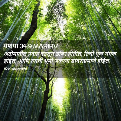 Picture 02 - यशया 34:9 MARIRV - अदोमातील प्रवाह - Bible Verse Picture