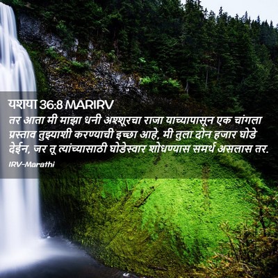 Picture 02 - यशया 36:8 MARIRV - तर आता मी माझा धनी - Bible Verse Picture
