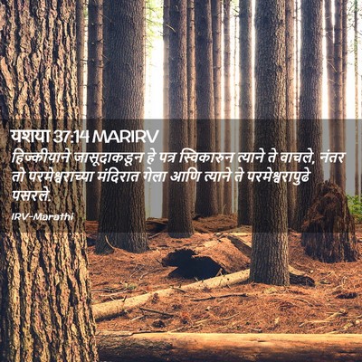 Picture 02 - यशया 37:14 MARIRV - हिज्कीयाने - Bible Verse Picture