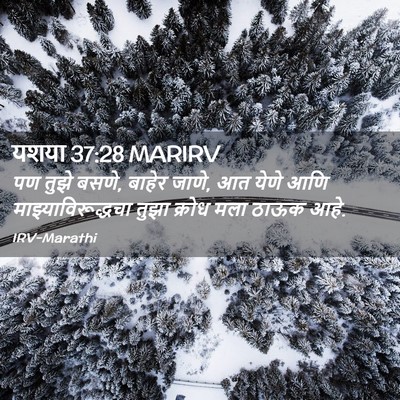 Picture 02 - यशया 37:28 MARIRV - पण तुझे बसणे, बाहेर - Bible Verse Picture