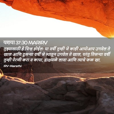 Picture 02 - यशया 37:30 MARIRV - तुझ्यासाठी हे - Bible Verse Picture