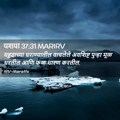 Picture 02 - यशया 37:31 MARIRV - यहूदाच्या - Bible Verse Picture