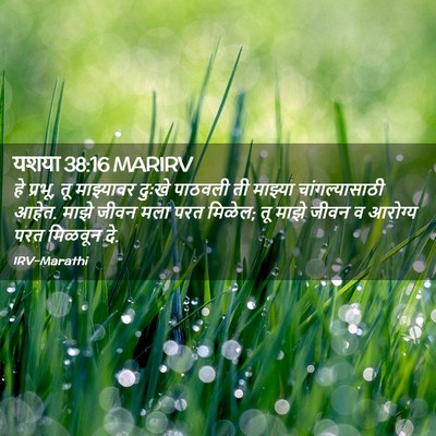 Picture 02 - यशया 38:16 MARIRV - हे प्रभू, तू - Bible Verse Picture
