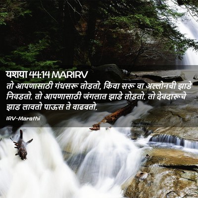 Picture 02 - यशया 44:14 MARIRV - तो आपणासाठी - Bible Verse Picture