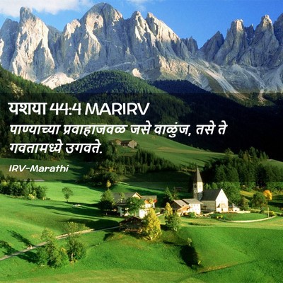 Picture 02 - यशया 44:4 MARIRV - पाण्याच्या - Bible Verse Picture