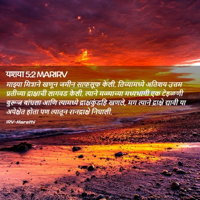 Picture 02 - यशया 5:2 MARIRV - माझ्या मित्राने - Bible Verse Picture