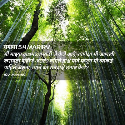 Picture 02 - यशया 5:4 MARIRV - मी माझ्या - Bible Verse Picture